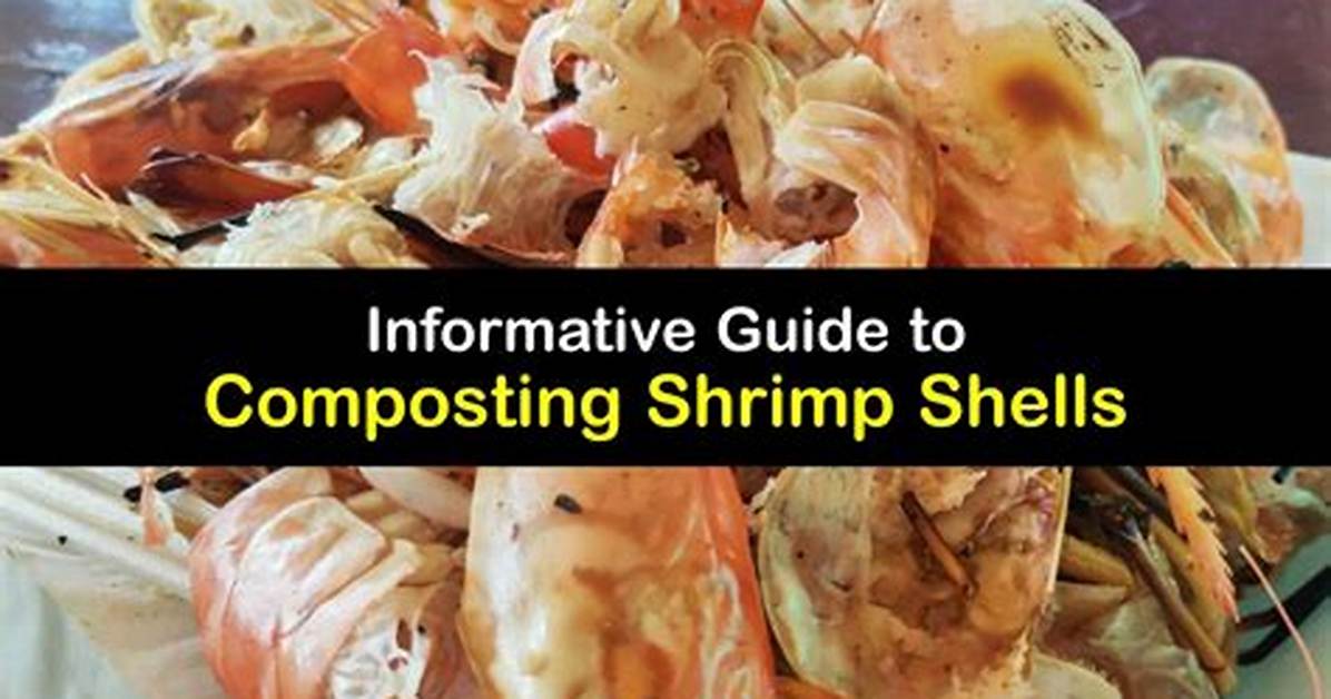 Can Shellfish Be Composted? | Contextresponse. Com