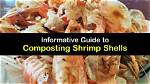 Can Shellfish Be Composted? | Contextresponse. Com