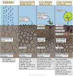Can Soil Be Created