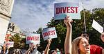 Can Something Be Divest?