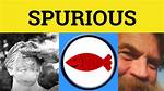 Can Something Be Spurious?