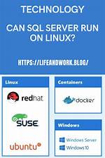 Can Sql Run on Linux?