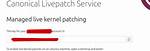 Can't Authentic Livepatch on Mac's Parallels