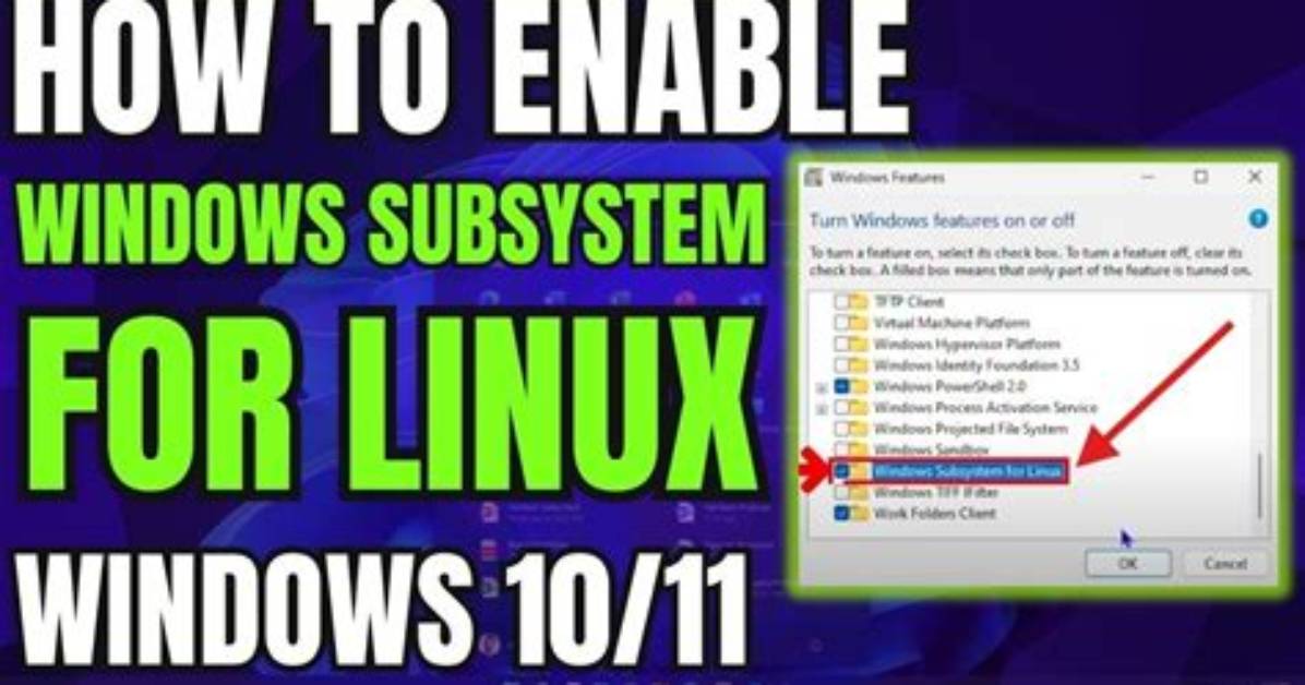 Can't Enable Windows Subsystem for Linux?