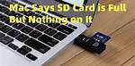 Can't Find It? Solutions for Sd Movies Point & More!