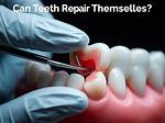 Can Teeth Be Inserted?