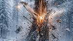 Can Trees Explode in a Fire