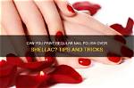 Can U Paint over Shellac?