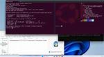 Can Ubuntu Run Windows Programs?
