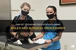 Can Vet Techs Specialize? | Contextresponse. Com