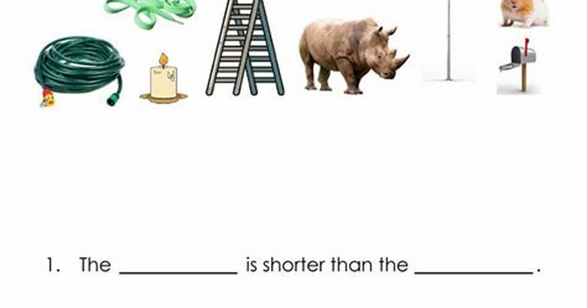 Can We Compare Two Objects in C#?