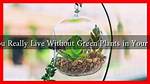 Can We Live Without Plants?