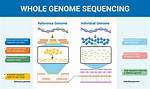 Can We Sequence Genomes?