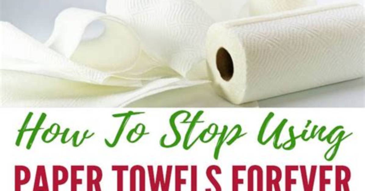 Can We Stop Using Paper?