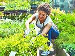 Can Yard Work Be Considered Exercise?