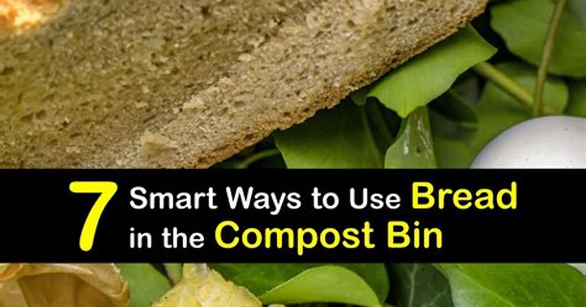 Can You Compost Bread