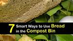 Can You Compost Bread