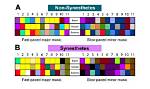 Can You Develop Synesthesia?