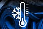 Can You Freeze Ormers?
