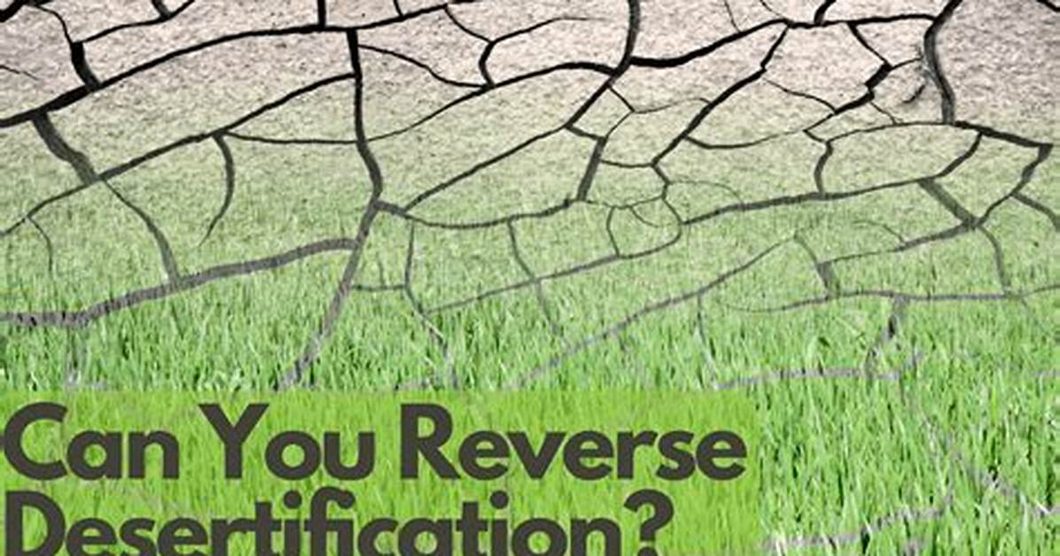 Can You Reverse Desertification?