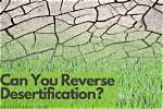 Can You Reverse Desertification?