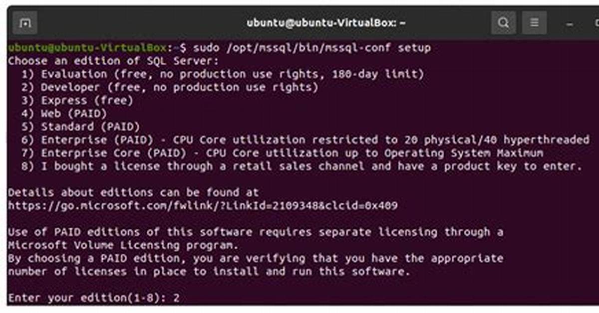 Can You Run Sql Server on Linux?