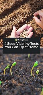 Can You Test Viability?