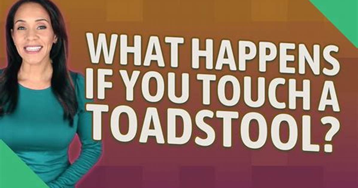 Can You Touch Toadstools?