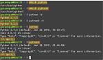 Can You Use Python in Linux?