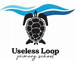 Can You Visit Useless Loop?