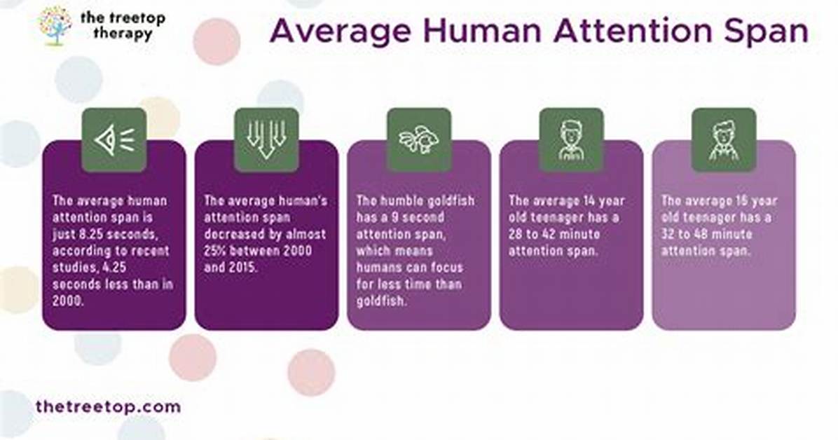 Can Your Attention Span Decrease?