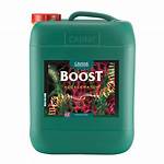 Canna Boost
