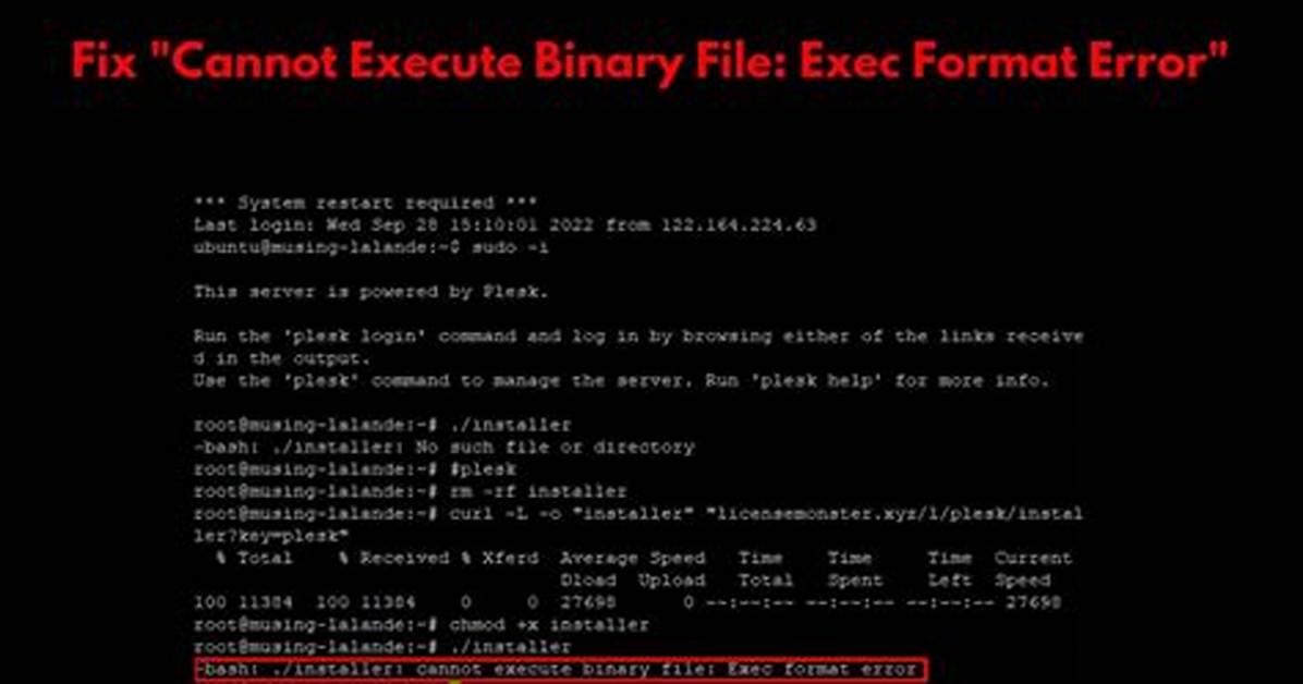 "Cannot Execute Binary File" When Trying to Run a Shell Script on Linux