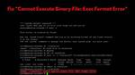 "Cannot Execute Binary File" When Trying to Run a Shell Script on Linux