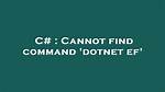 Cannot Find Command 'Dotnet Ef'