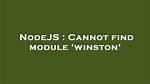 Cannot Find Module 'Winston'