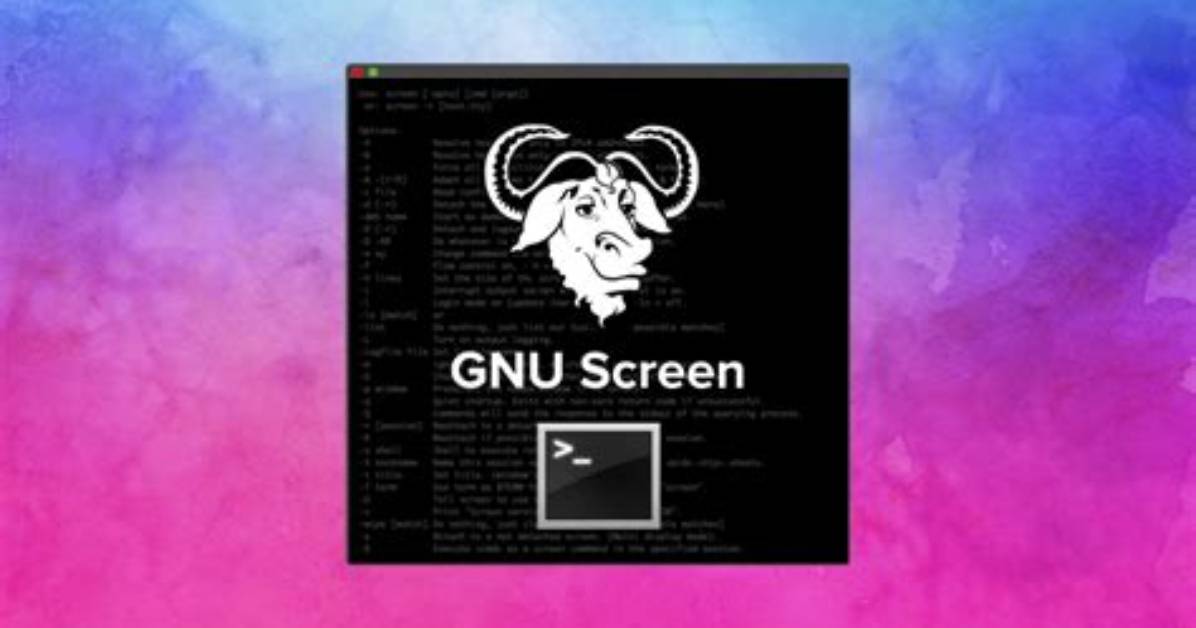 Cannot Run Startx from Gnu Screen Session