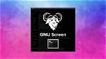 Cannot Run Startx from Gnu Screen Session