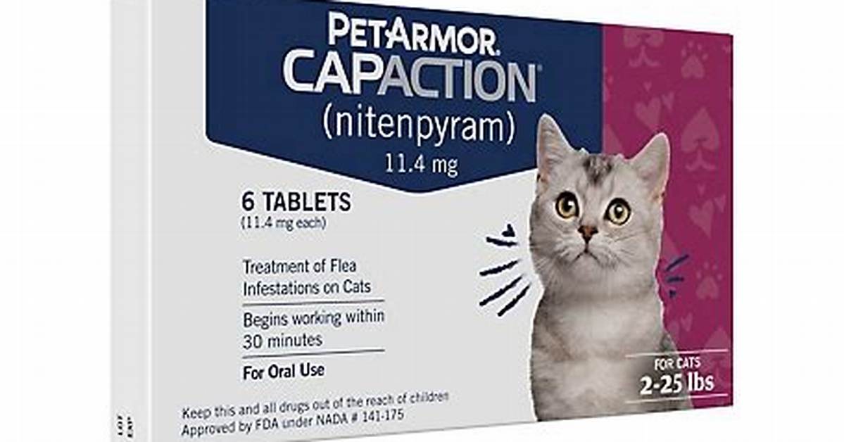 Capaction for Cats
