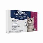 Capaction for Cats