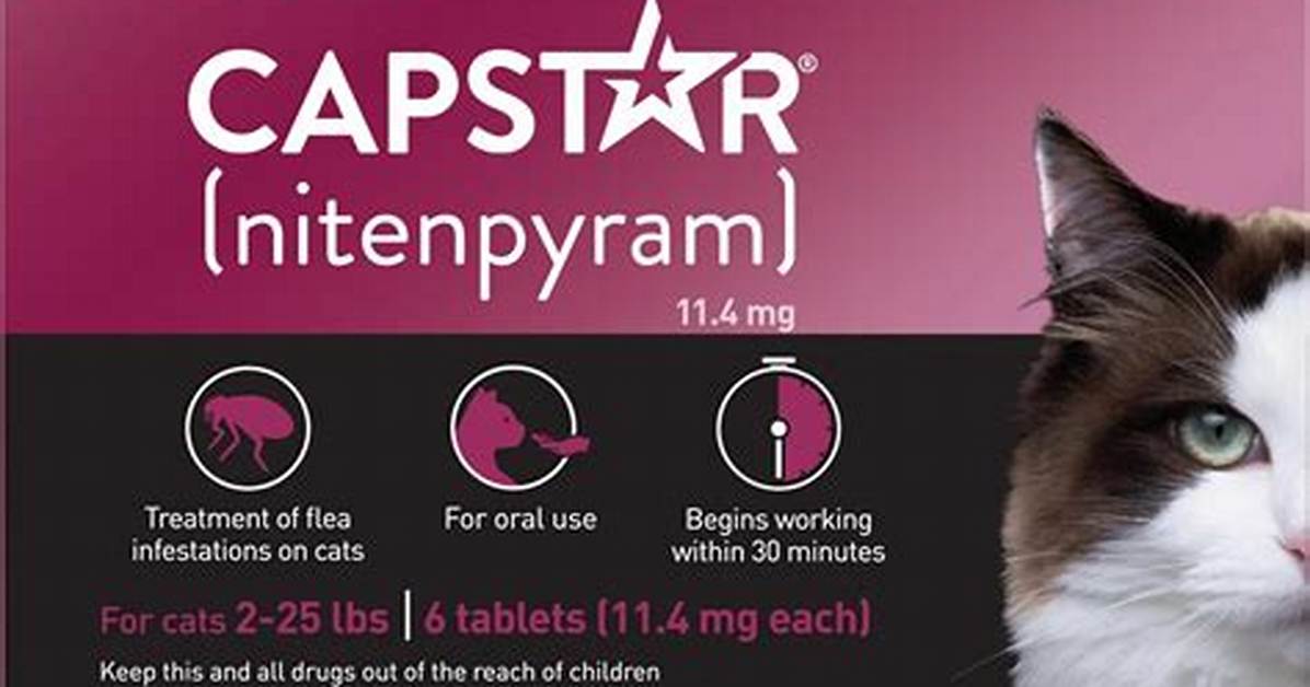 Capstar Kitten