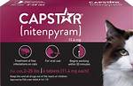 Capstar Kitten