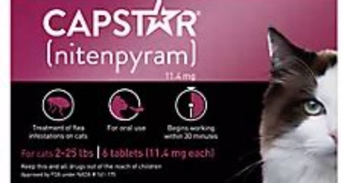 Capstar Petsmart