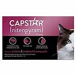 Capstar Petsmart
