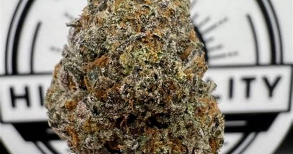 Captain Crunch Strain