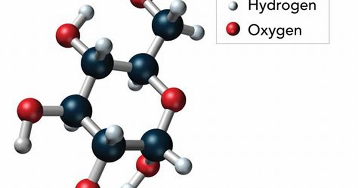 Carbohydrates Elements