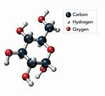 Carbohydrates Elements