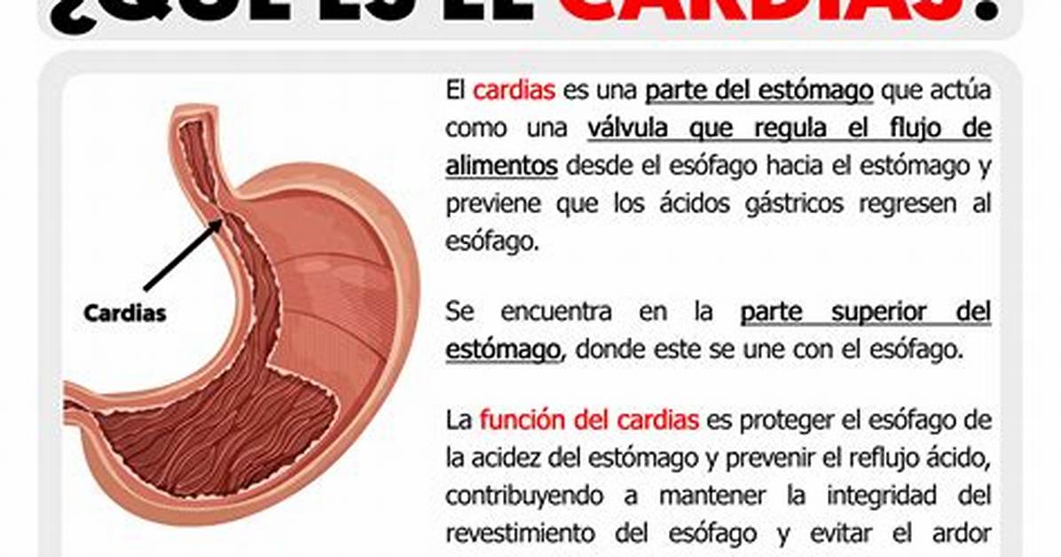 Cardias