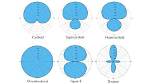Cardioid Microphone