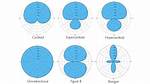 Cardioid Pattern